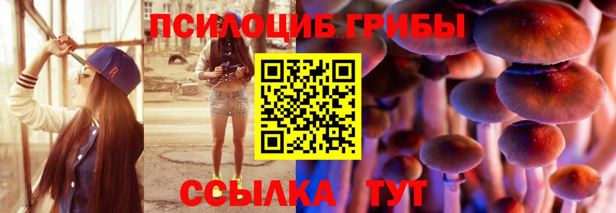 Моздок  Галлюциногенные грибы Psilocybe  Вход с VPN  как найти закладки  Псилоцибиновые грибы MAGIC MUSHROOMS 