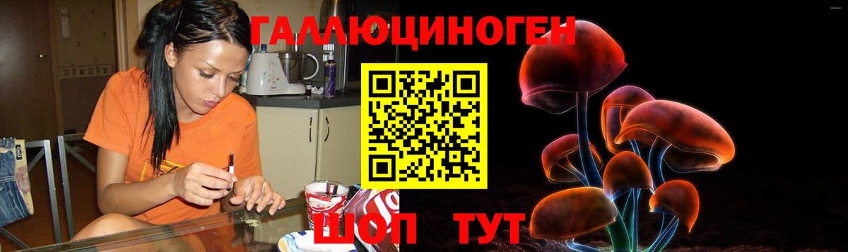 Псилоцибиновые грибы мицелий Моздок